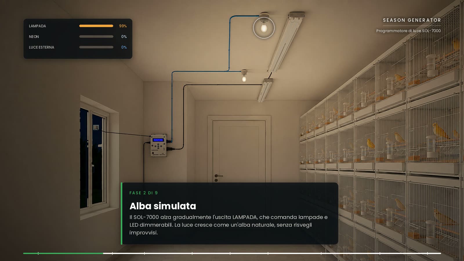 Stanza di allevamento all'alba simulata: la lampada a soffitto sale piano mentre fuori dalla finestra è ancora buio