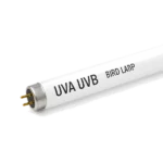 Tubo neon Bird Lamp con scritta UVA UVB per uccelli